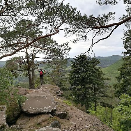 L'Ours Vert Baerenthal Esterno foto